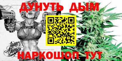шишки Можга
