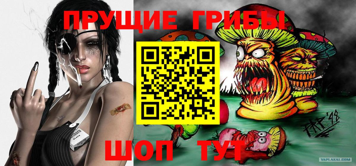 Вышний Волочёк  Галлюциногенные грибы мицелий  Вход с VPN 