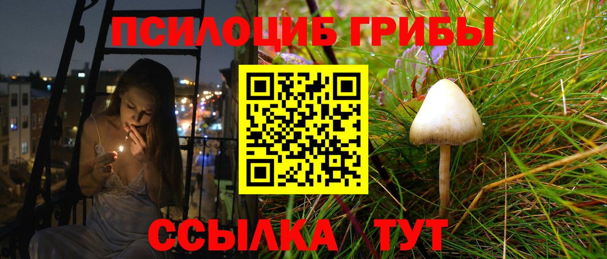 Псилоцибиновые грибы Magic Shrooms Вышний Волочёк